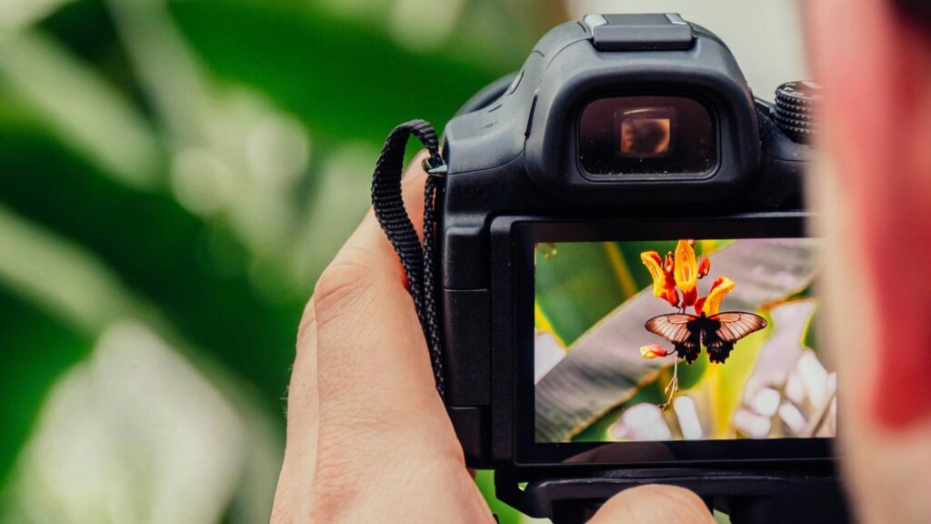 Jak zbudować portfolio fotografa - krok po kroku